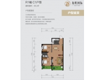 龙腾国际R1栋C1户型