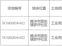 腾冲市固东镇出让2宗总计约41亩工业用地