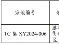 腾冲市1宗约3亩工业土地出让